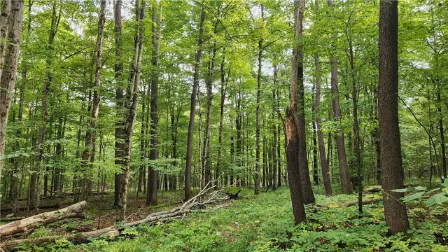 $574,900 | Humphrey Road, Great Valley, NY 14741