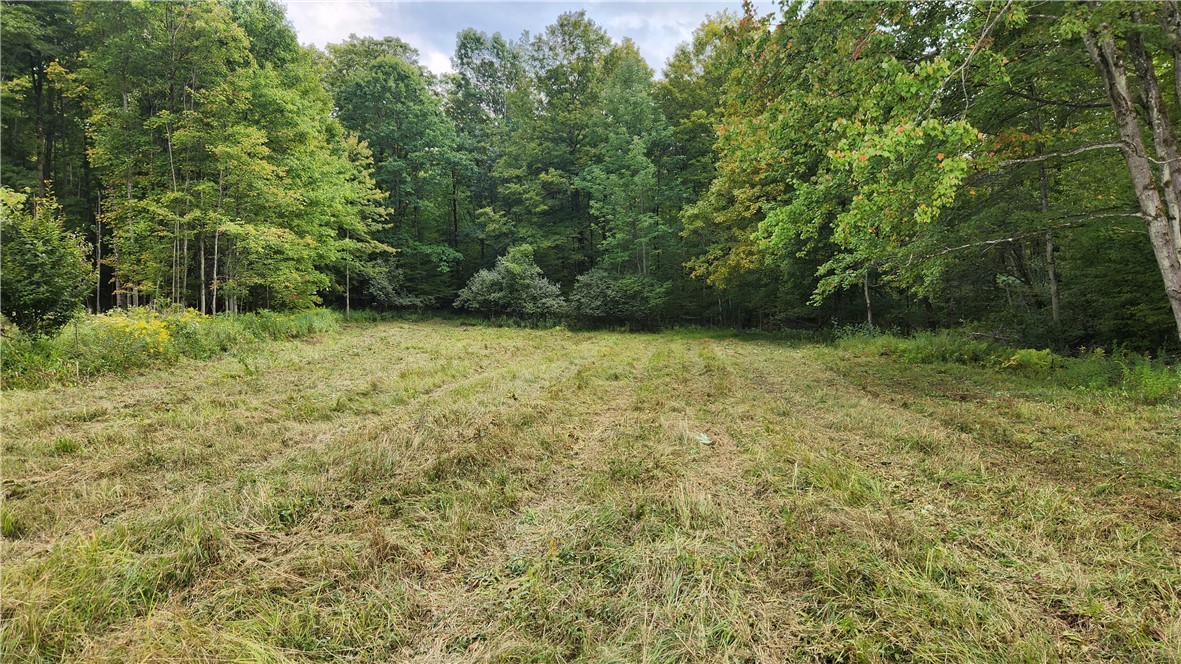 Humphrey Road Great Valley, NY 14741 - Photo 24 of 45