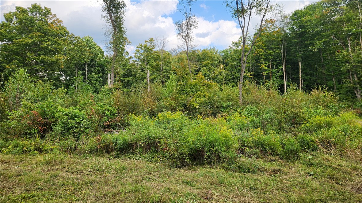 Humphrey Road Great Valley, NY 14741 - Photo 25 of 45 Habitat Mgmt Area
