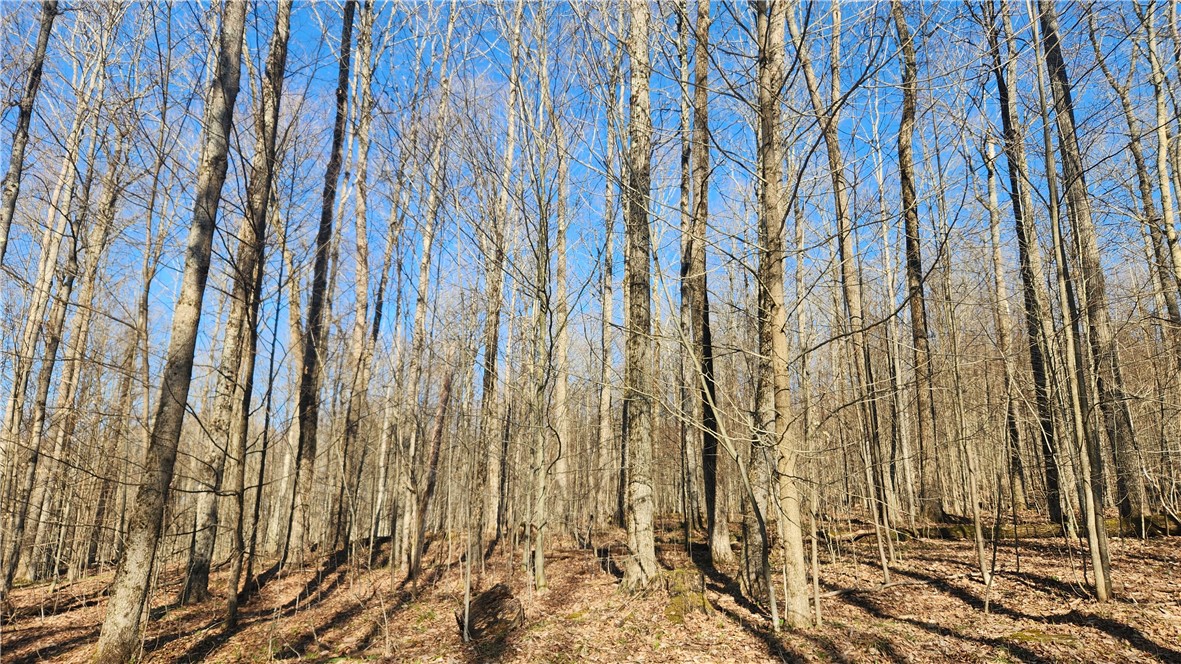 Humphrey Road Great Valley, NY 14741 - Photo 27 of 45