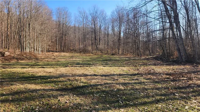 $574,900 | Humphrey Road, Great Valley, NY 14741