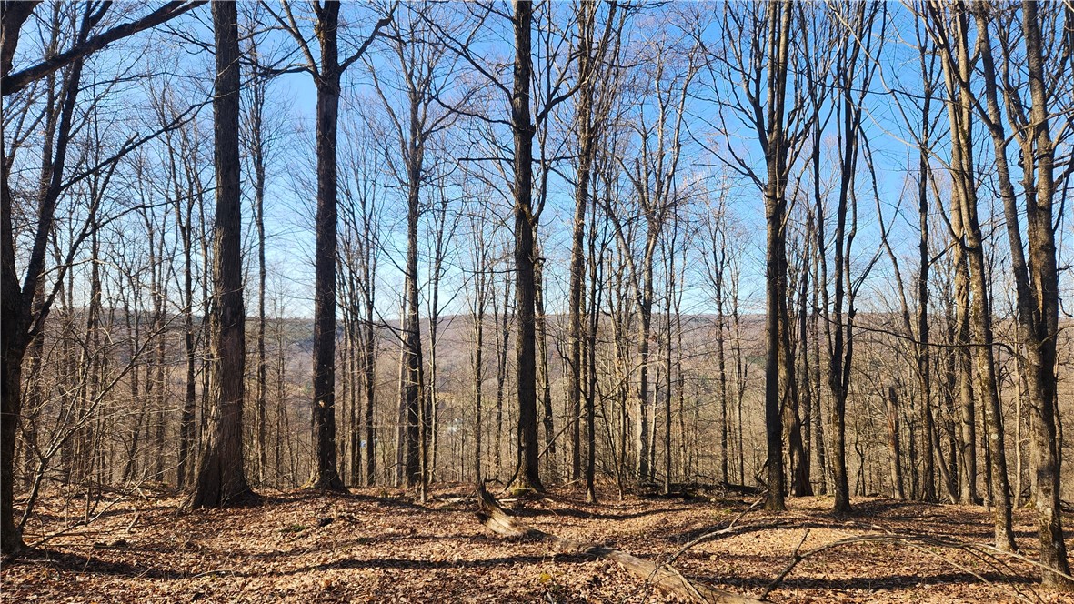 Humphrey Road Great Valley, NY 14741 - Photo 30 of 45