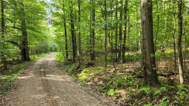 $574,900 | Humphrey Road, Great Valley, NY 14741