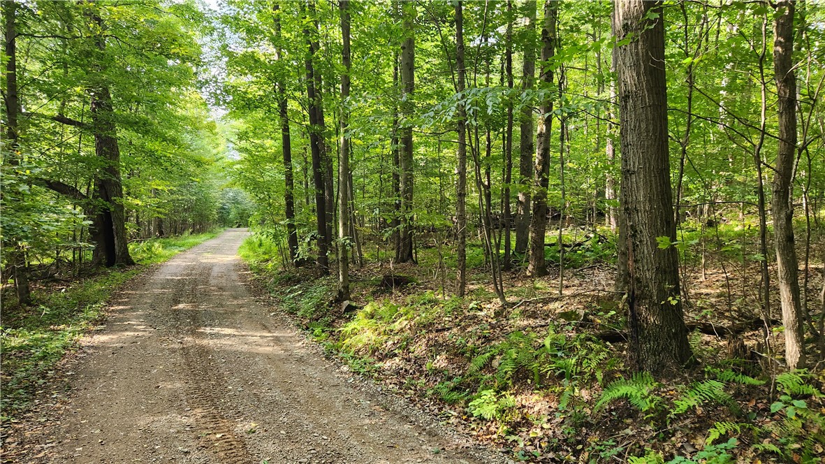 Humphrey Road Great Valley, NY 14741 - Photo 3 of 45 Driveway