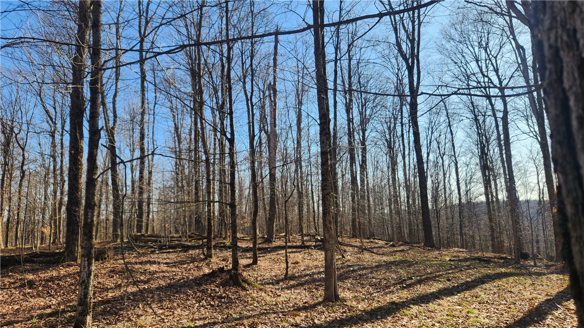 Humphrey Road Great Valley, NY 14741 - Photo 31 of 45