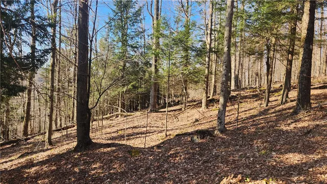 $574,900 | Humphrey Road, Great Valley, NY 14741