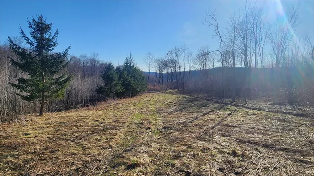 $574,900 | Humphrey Road, Great Valley, NY 14741