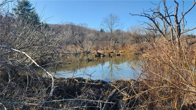 $574,900 | Humphrey Road, Great Valley, NY 14741