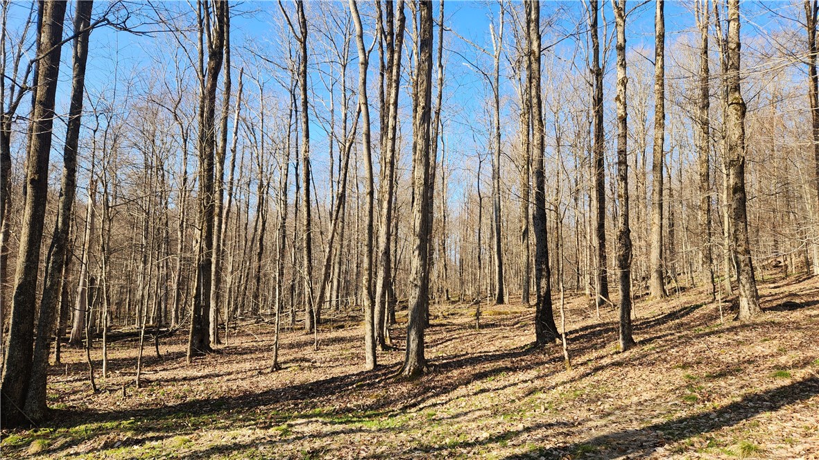 Humphrey Road Great Valley, NY 14741 - Photo 40 of 45