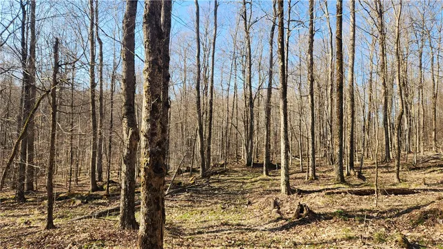 $574,900 | Humphrey Road, Great Valley, NY 14741