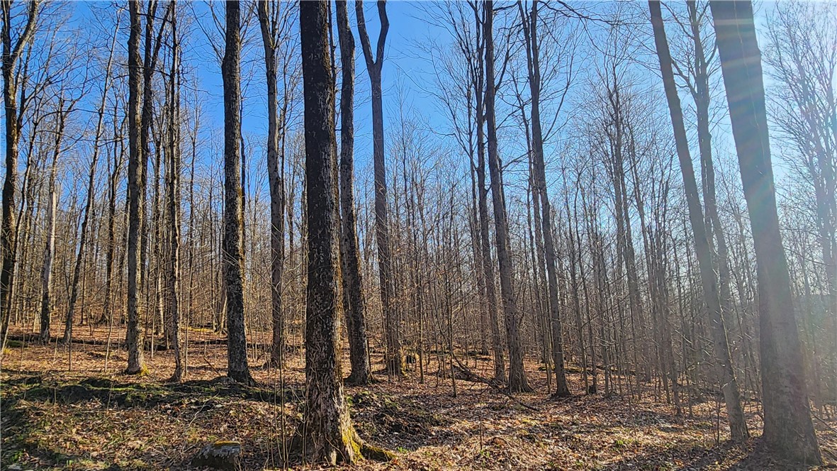 Humphrey Road Great Valley, NY 14741 - Photo 42 of 45