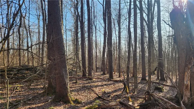 $574,900 | Humphrey Road, Great Valley, NY 14741