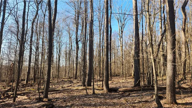 $574,900 | Humphrey Road, Great Valley, NY 14741