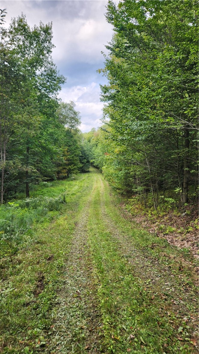 Humphrey Road Great Valley, NY 14741 - Photo 5 of 45 Internal Road