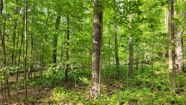 $574,900 | Humphrey Road, Great Valley, NY 14741