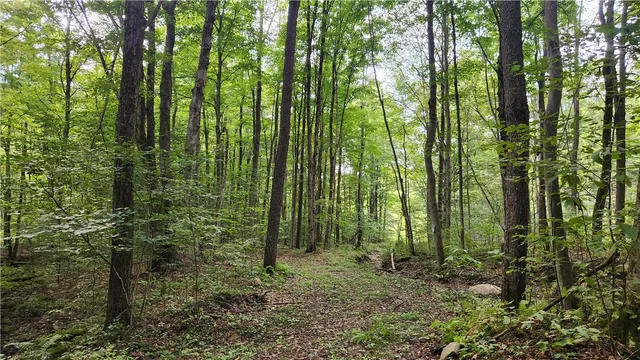 $574,900 | Humphrey Road, Great Valley, NY 14741