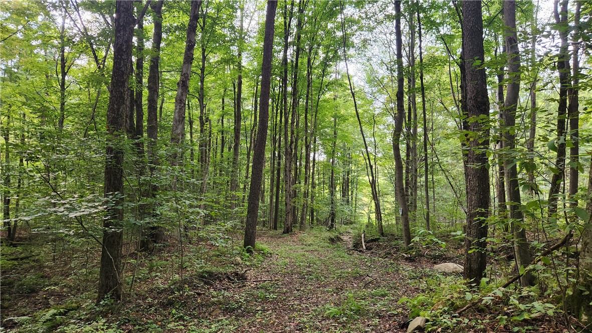 Humphrey Road Great Valley, NY 14741 - Photo 8 of 45