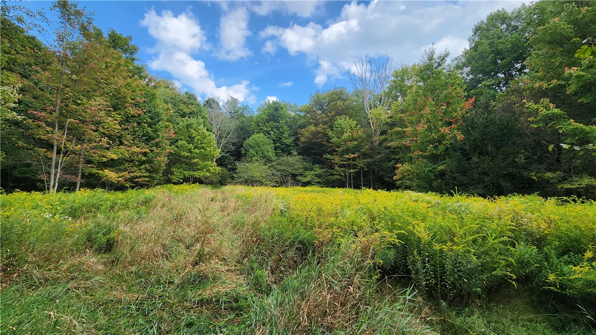 Humphrey Road Great Valley, NY 14741 - Photo 9 of 45