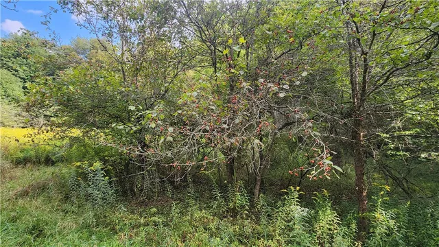 $574,900 | Humphrey Road, Great Valley, NY 14741