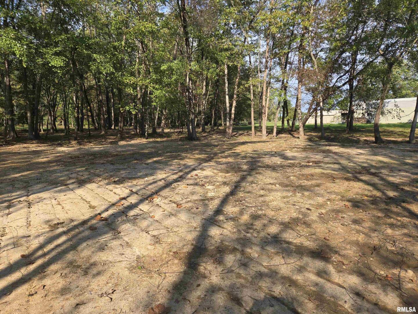 Lot 4 Norman Road Marion, IL 62959 - Photo 5 of 6 a view of road with trees