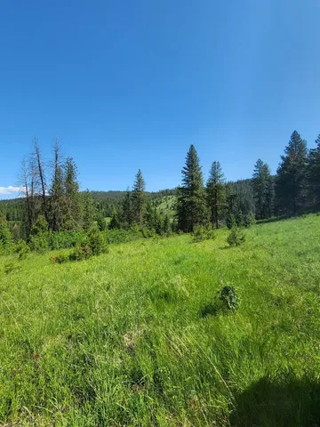 $640,000 | Xxx Hall Creek Road, Inchelium, WA 99138