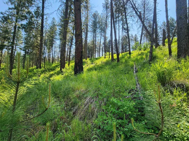 $640,000 | Xxx Hall Creek Road, Inchelium, WA 99138