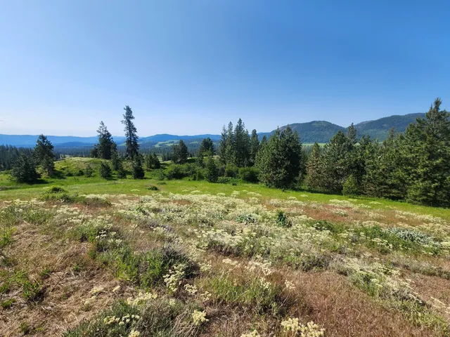 $640,000 | Xxx Hall Creek Road, Inchelium, WA 99138