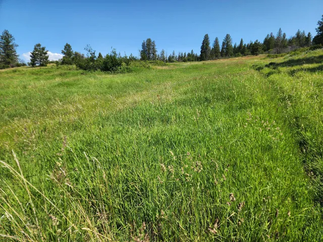 $640,000 | Xxx Hall Creek Road, Inchelium, WA 99138