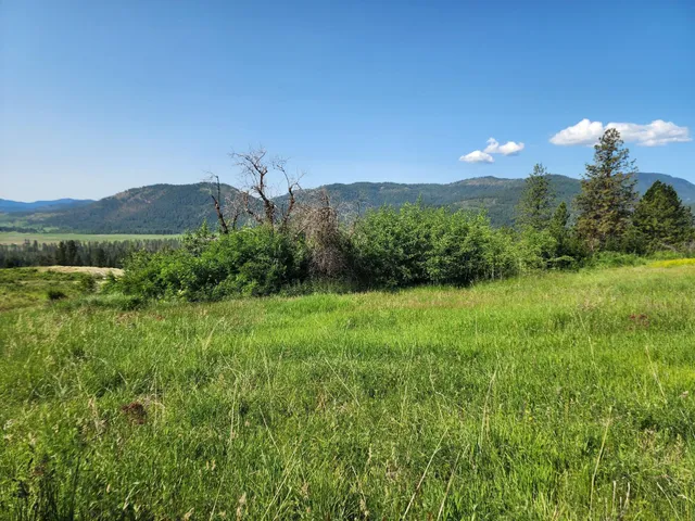 $640,000 | Xxx Hall Creek Road, Inchelium, WA 99138