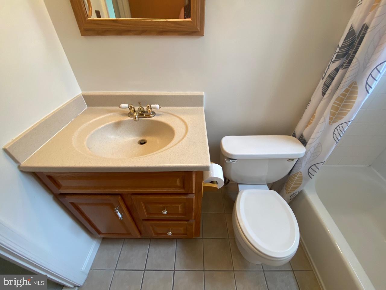 6411 East Halbert Road Bethesda, MD 20817 - Photo 17 of 20 Hall Bathroom