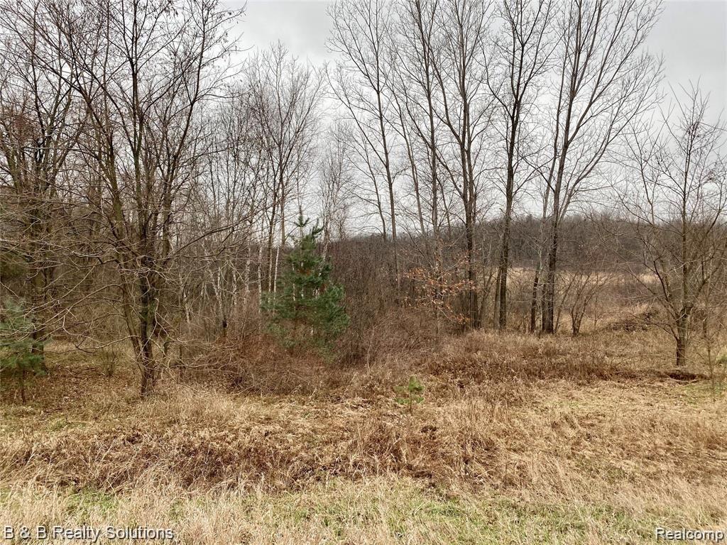 5615 Fish Lake Road North Branch, MI 48461 - Photo 13 of 15