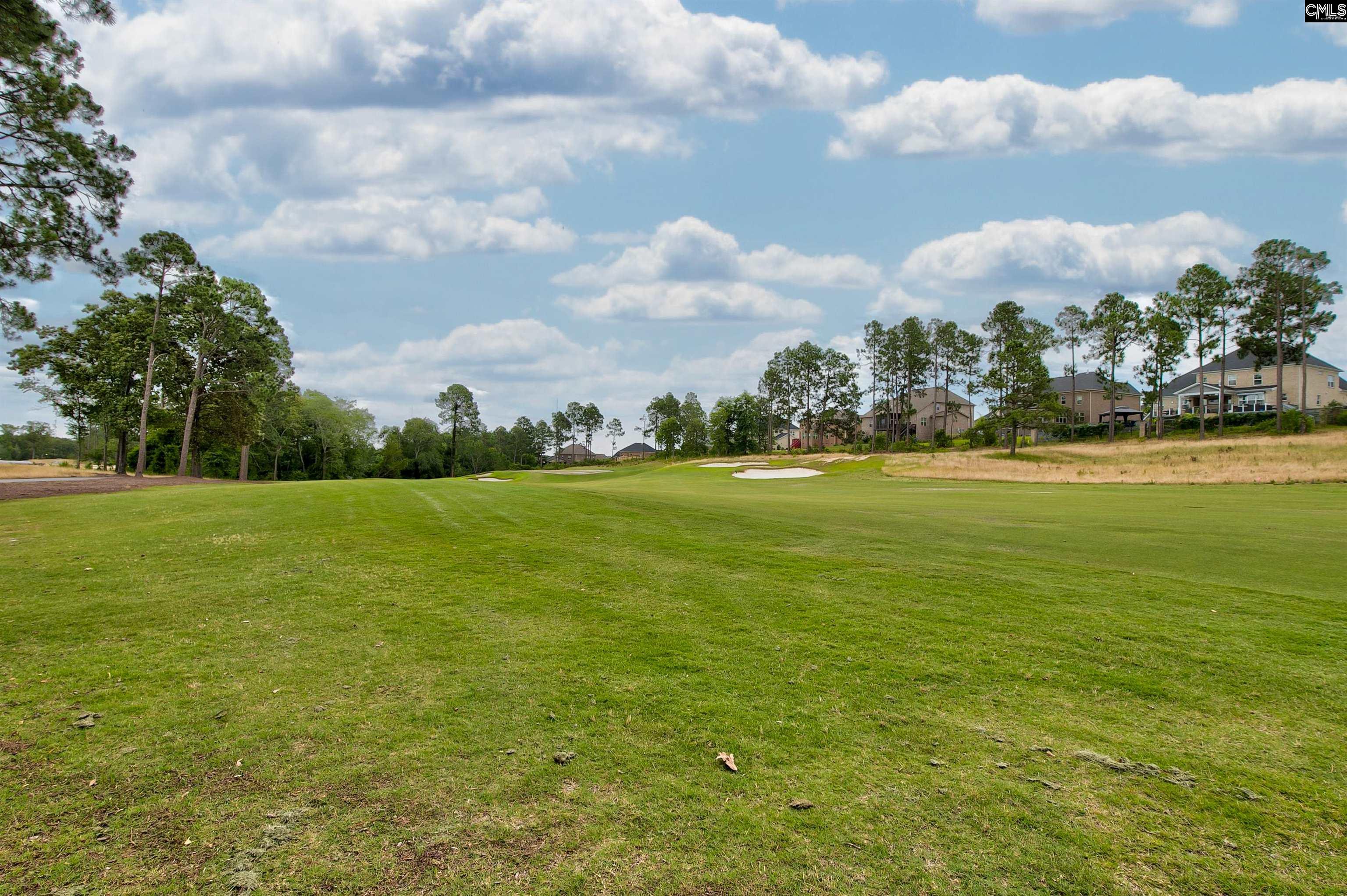 134 Backspin Drive Elgin, SC 29045 - Photo 53 of 53