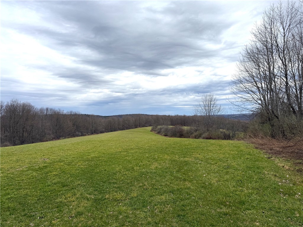 Lot 7 Summit Road Cuba, NY 14727 - Photo 9 of 31