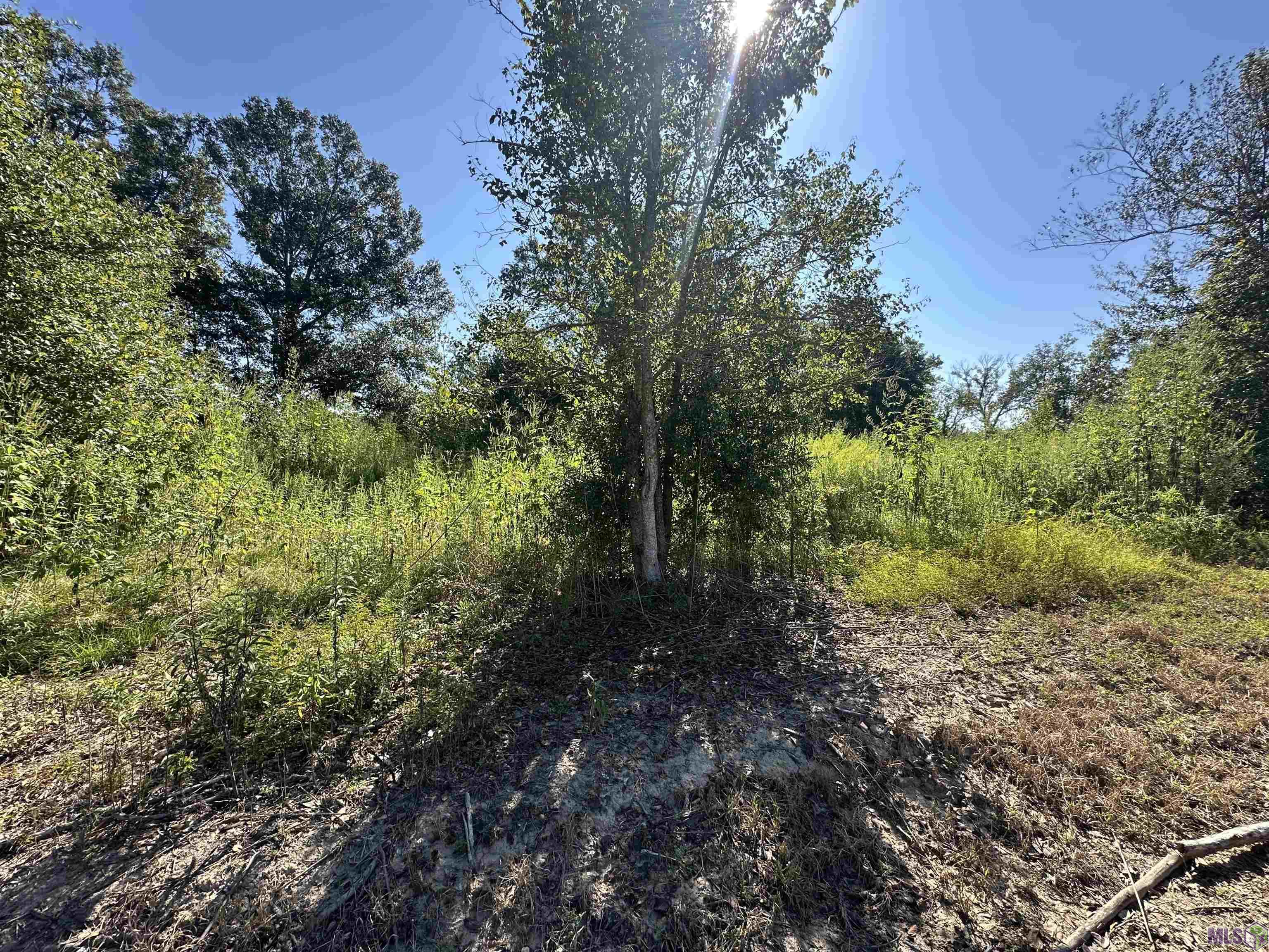 9434 Rod Anderson Road St. Amant, LA 70774 - Photo 11 of 18