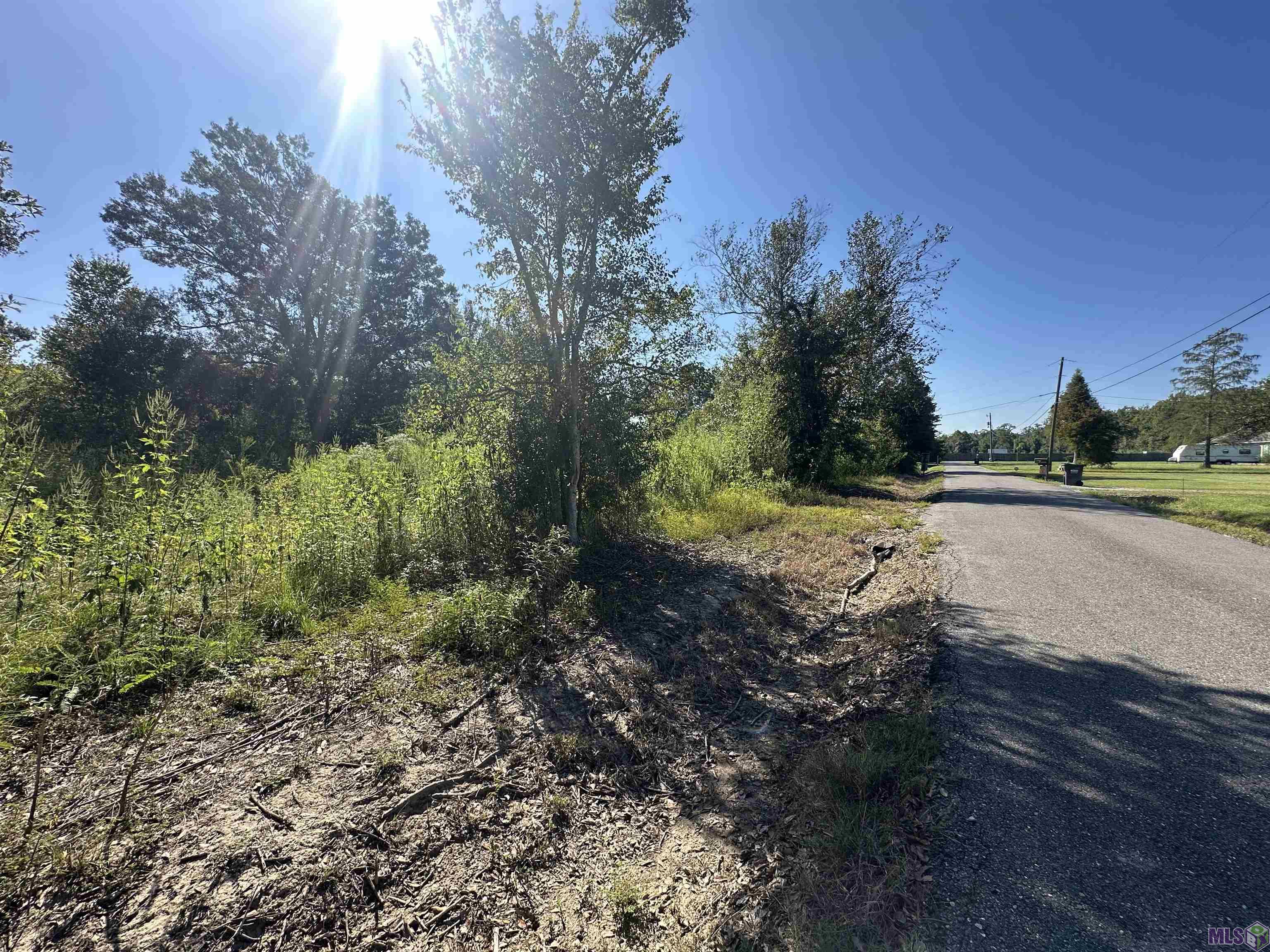 9434 Rod Anderson Road St. Amant, LA 70774 - Photo 12 of 18