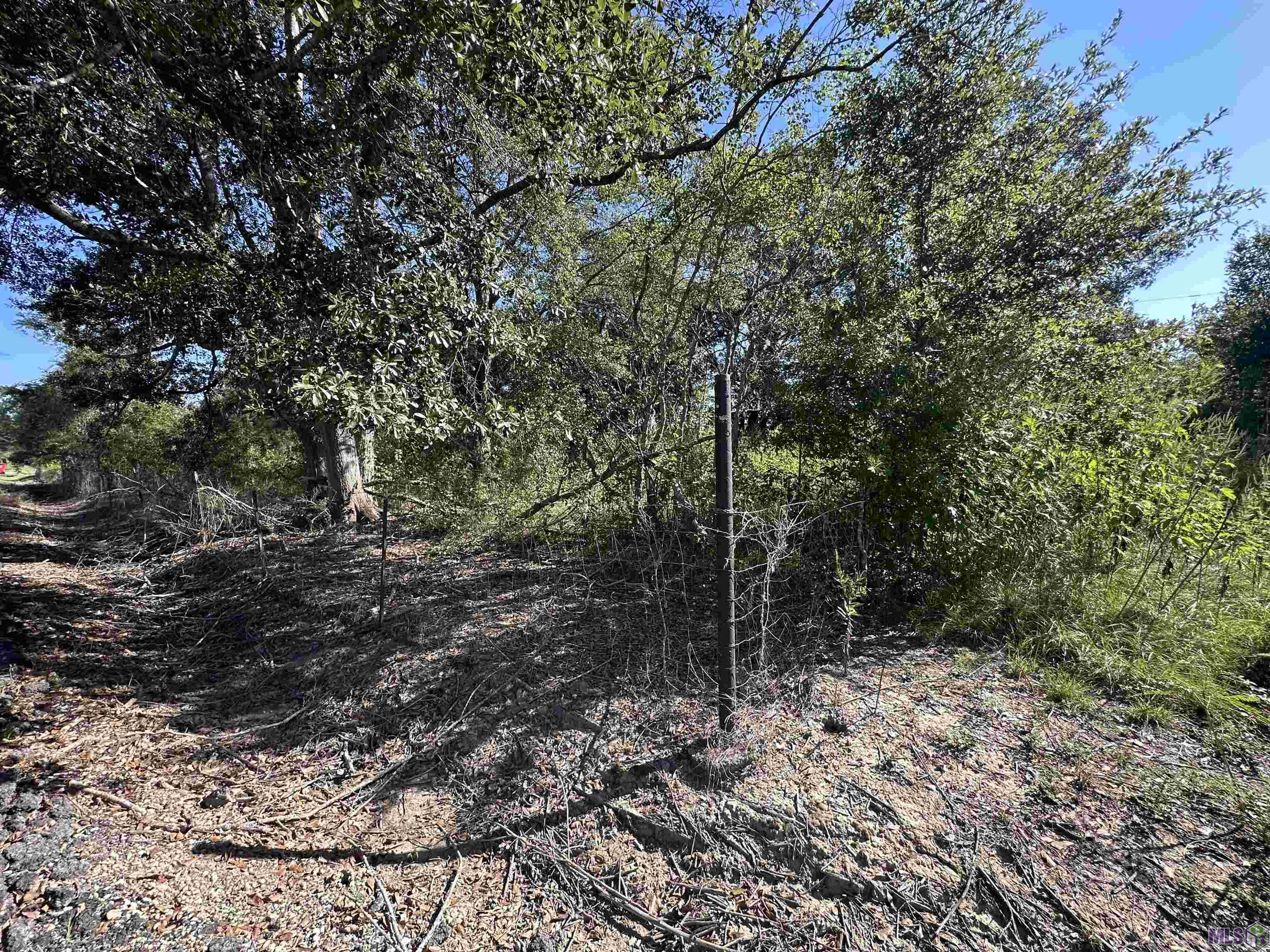 9434 Rod Anderson Road St. Amant, LA 70774 - Photo 15 of 18