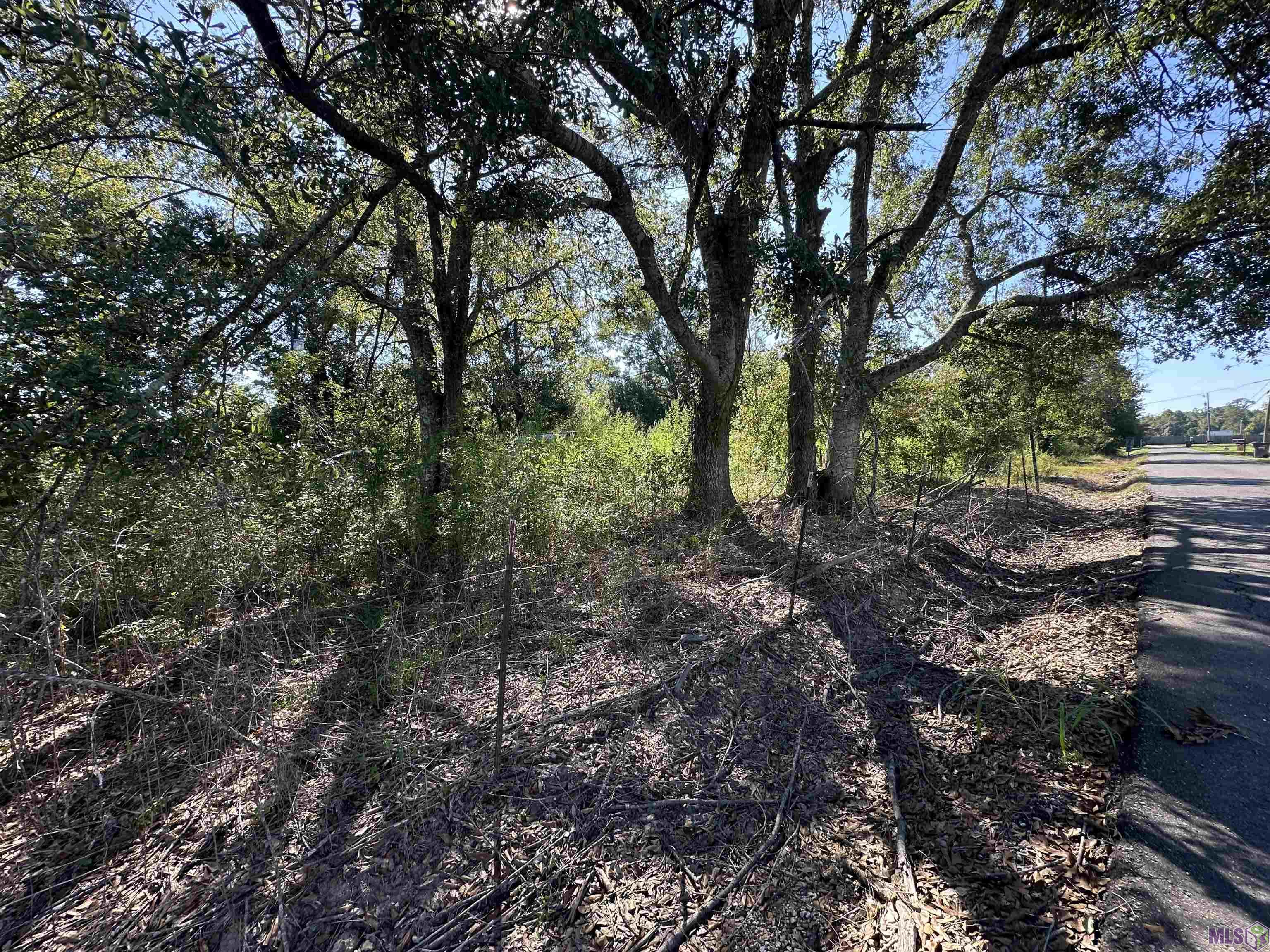 9434 Rod Anderson Road St. Amant, LA 70774 - Photo 16 of 18