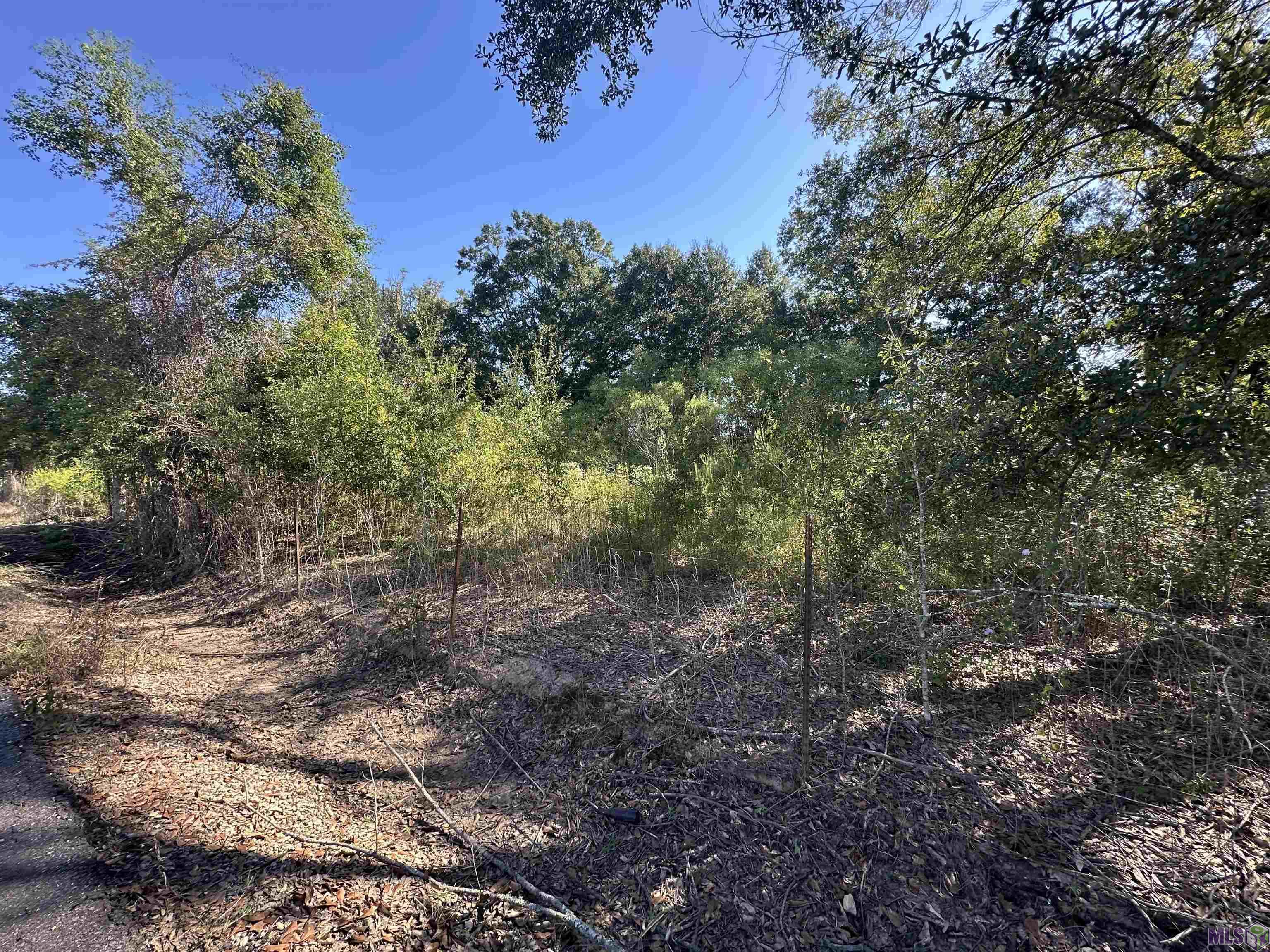 9434 Rod Anderson Road St. Amant, LA 70774 - Photo 17 of 18