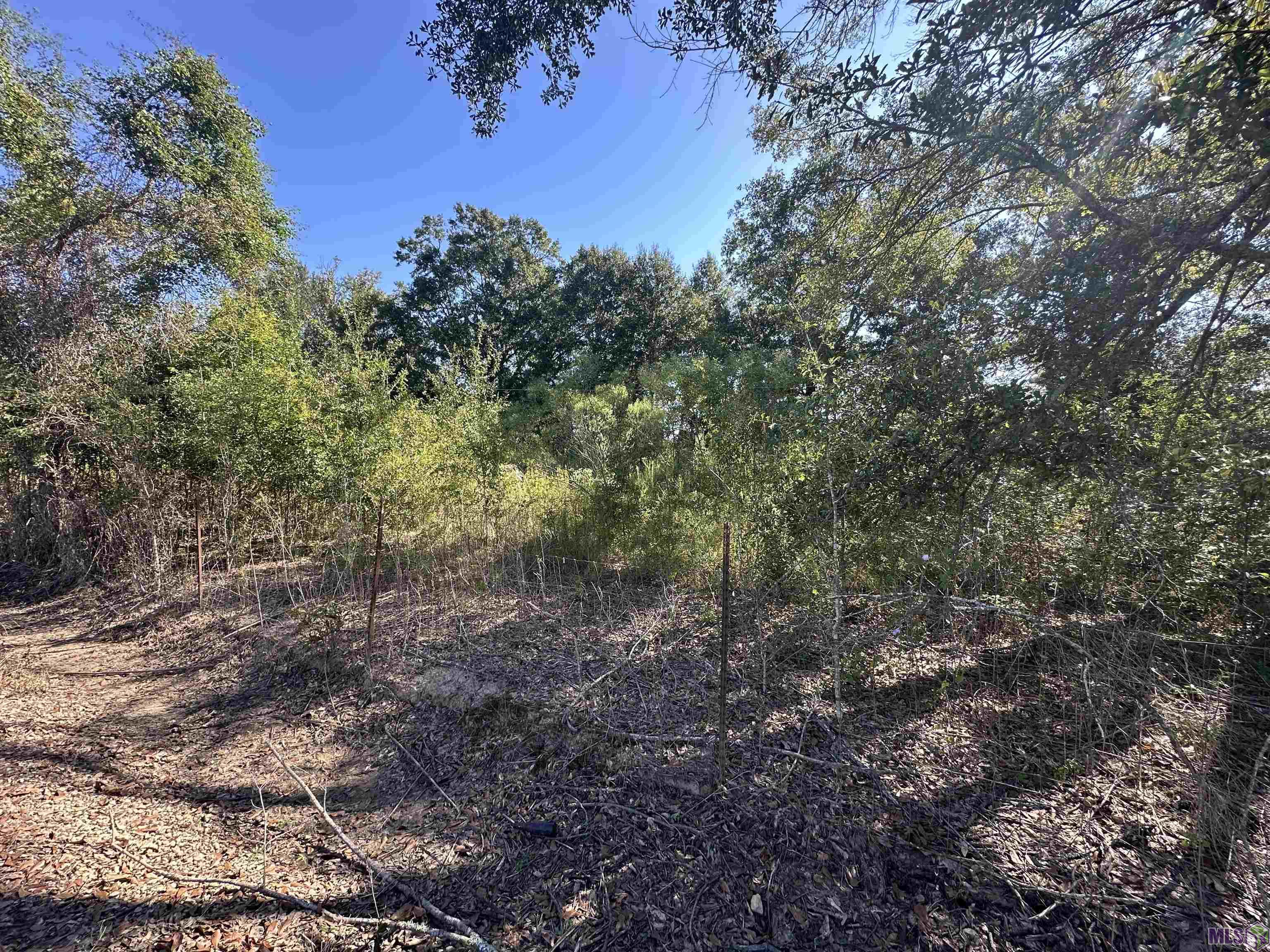 9434 Rod Anderson Road St. Amant, LA 70774 - Photo 18 of 18