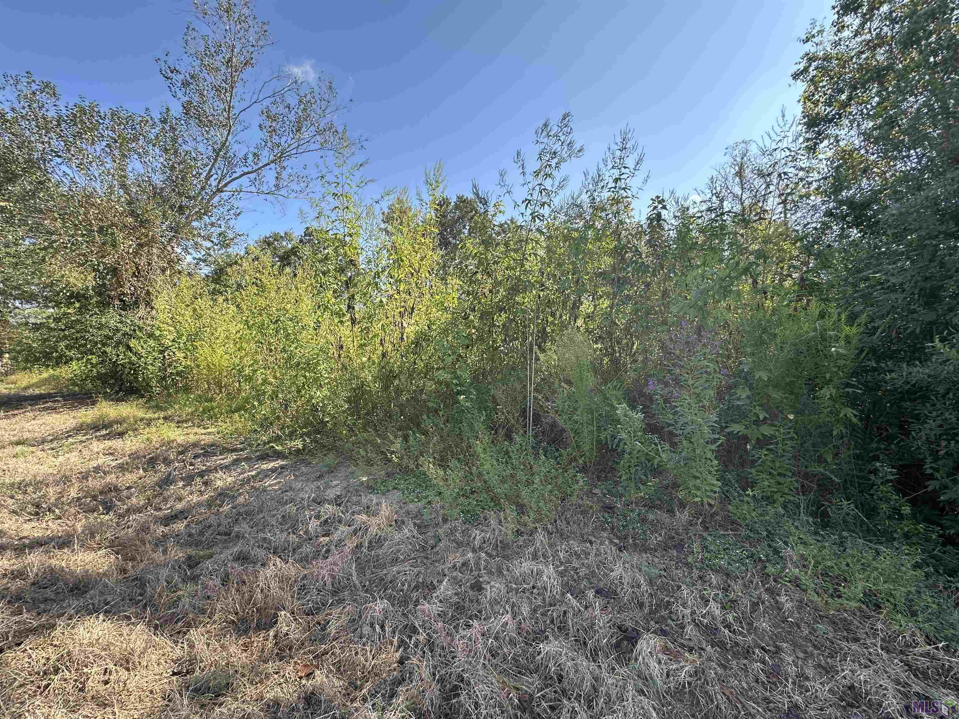 9434 Rod Anderson Road St. Amant, LA 70774 - Photo 2 of 18