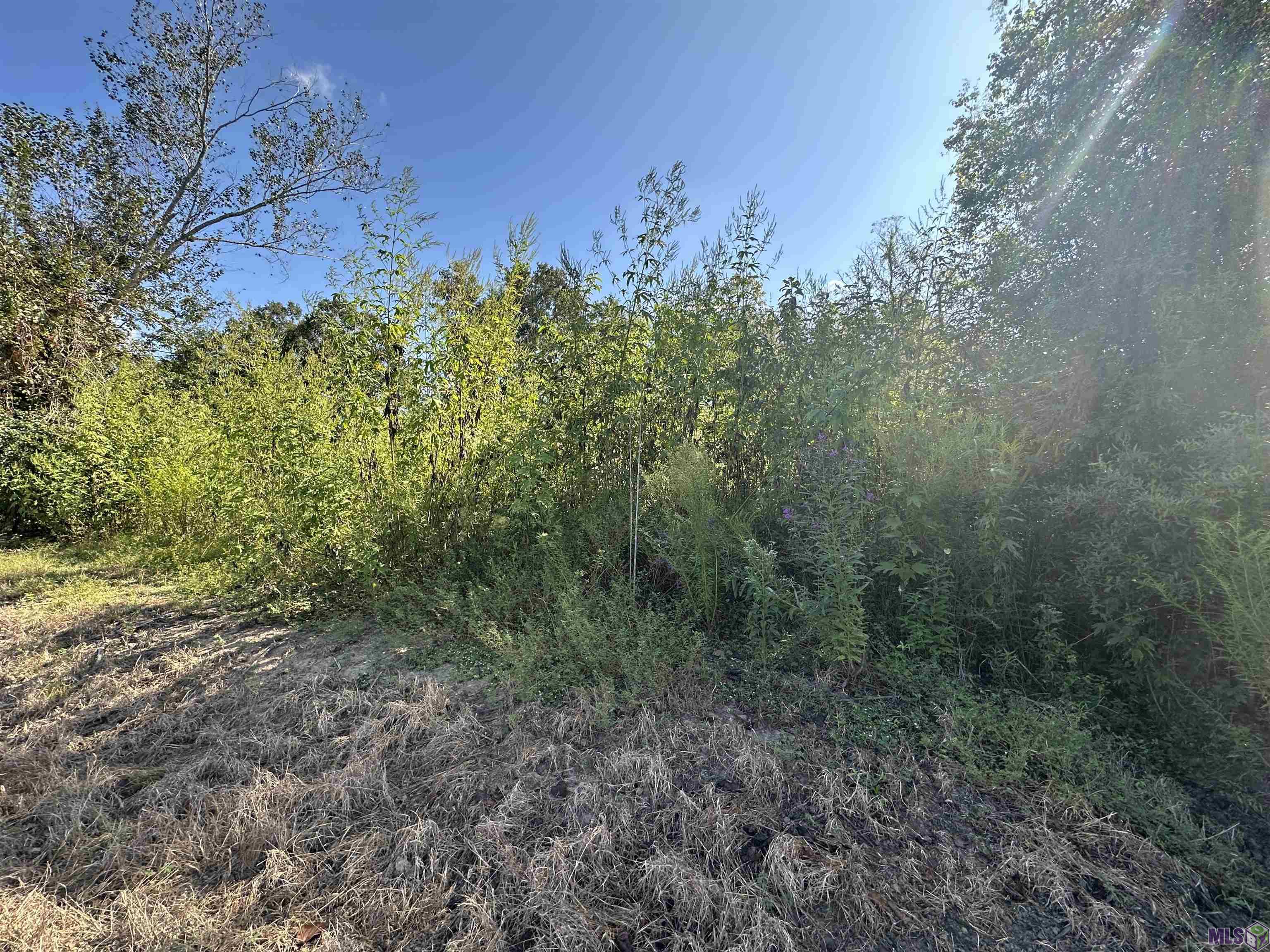 9434 Rod Anderson Road St. Amant, LA 70774 - Photo 3 of 18