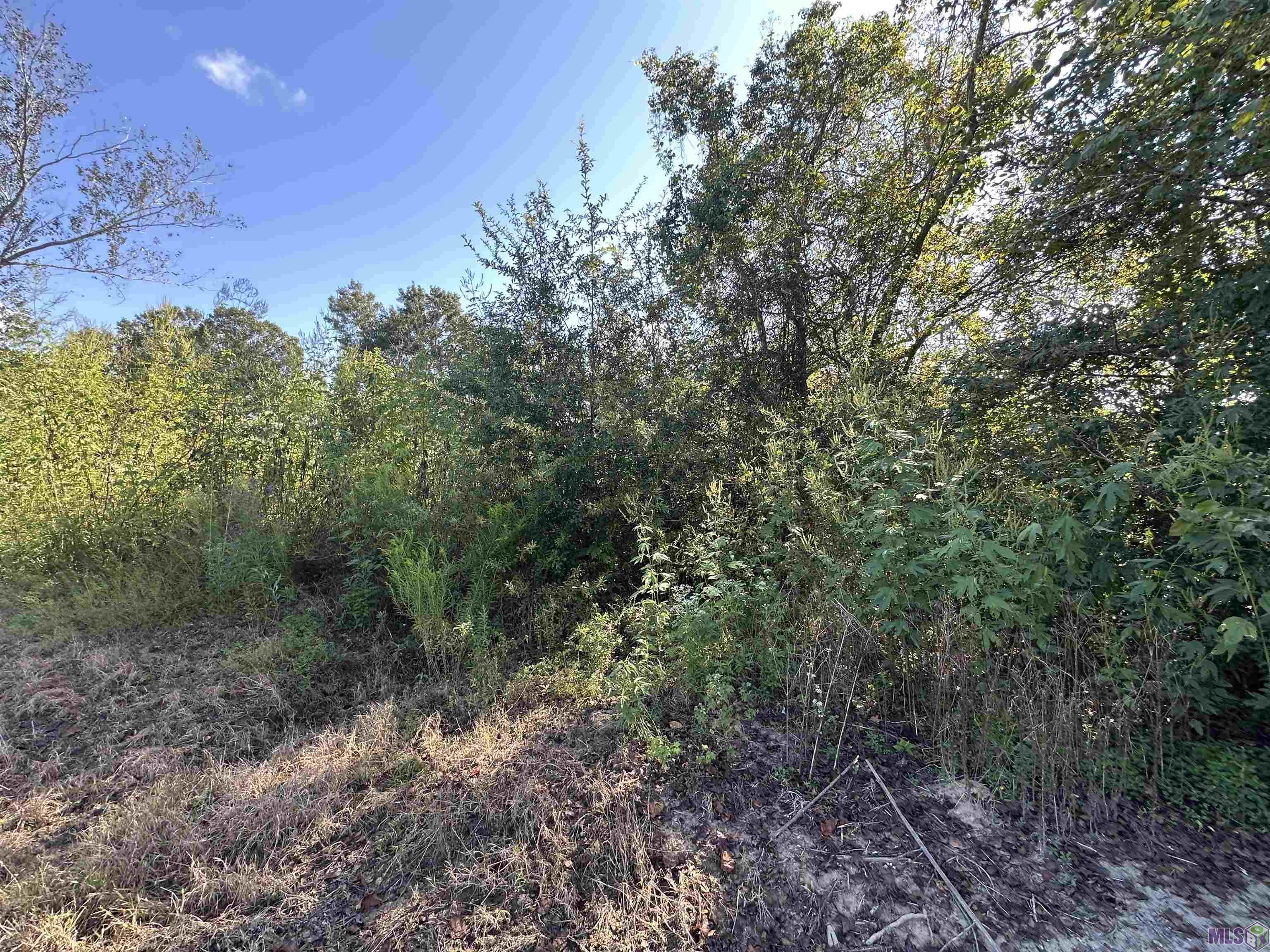 9434 Rod Anderson Road St. Amant, LA 70774 - Photo 4 of 18