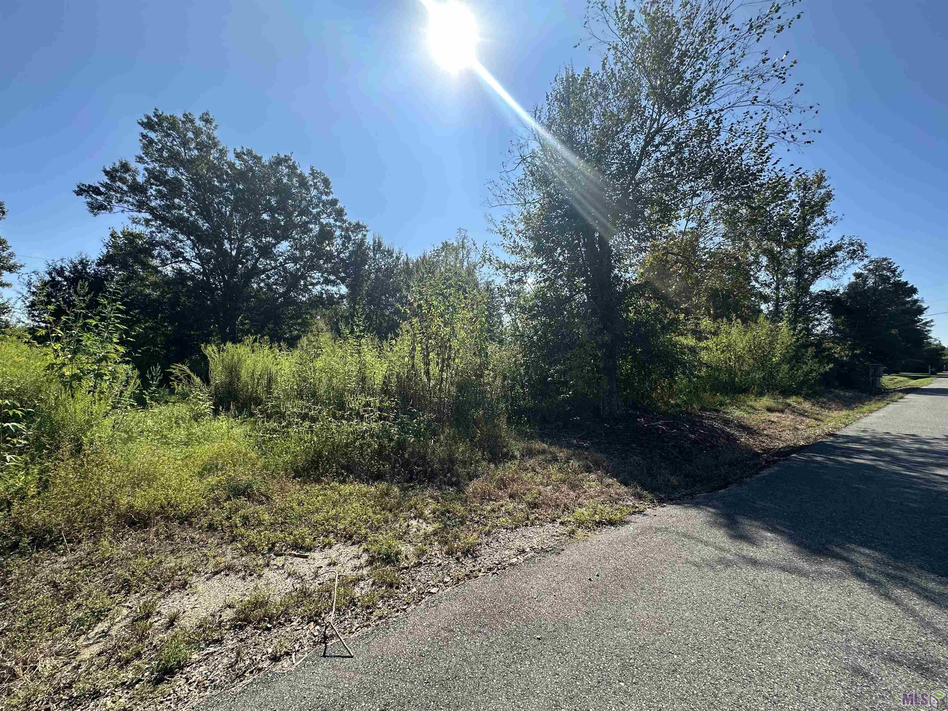 9434 Rod Anderson Road St. Amant, LA 70774 - Photo 5 of 18