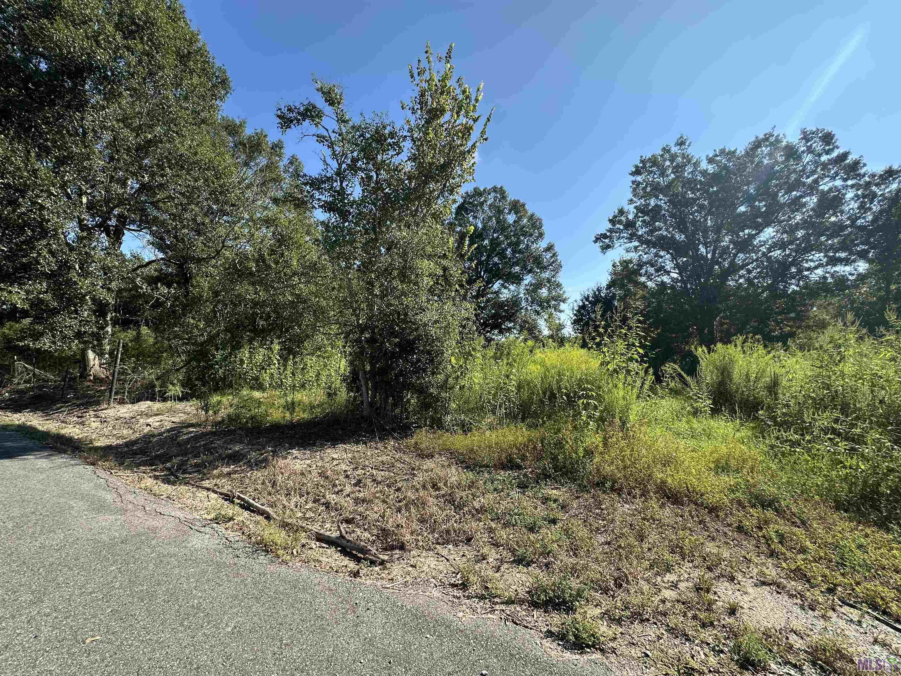 9434 Rod Anderson Road St. Amant, LA 70774 - Photo 6 of 18