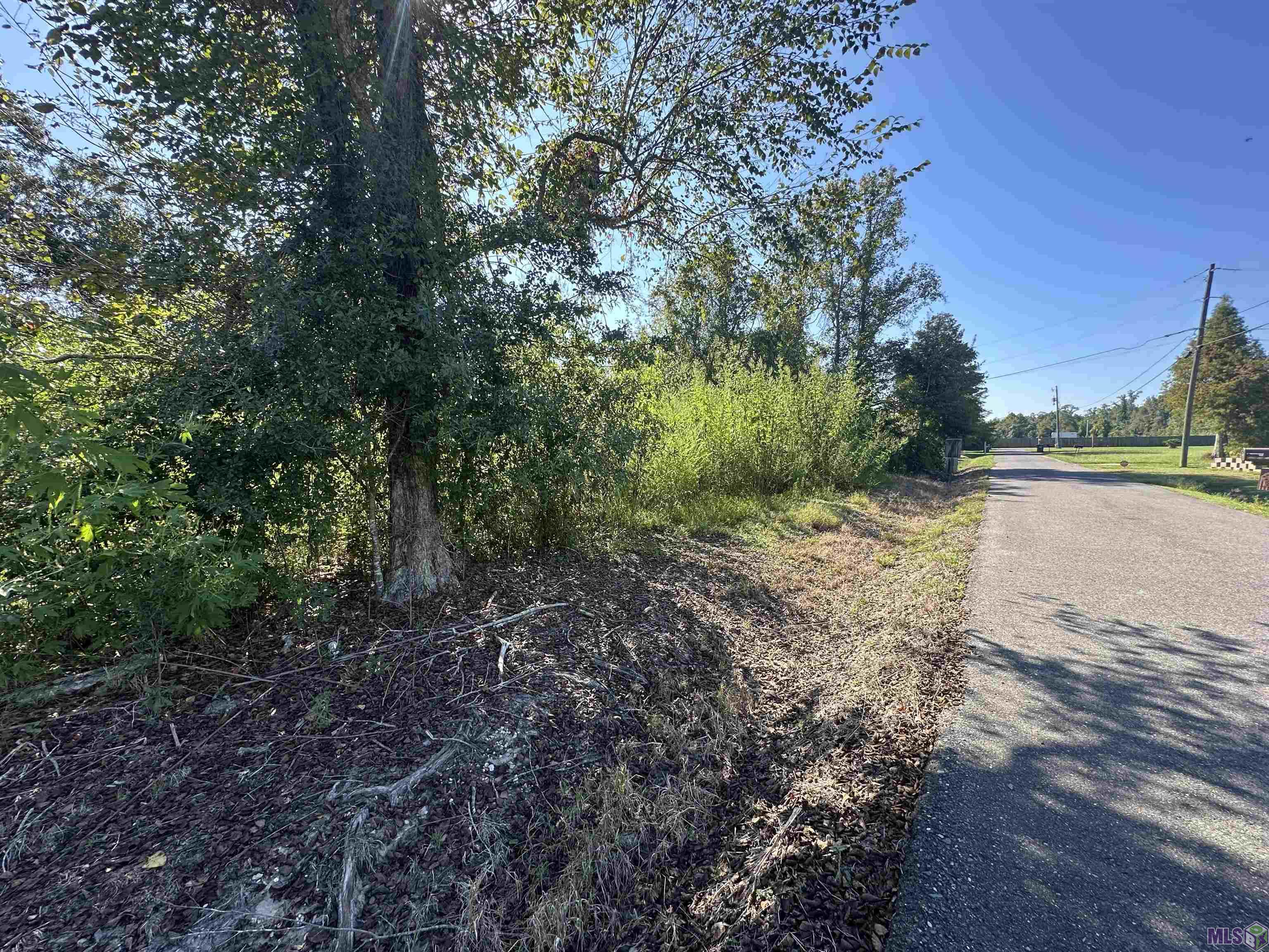 9434 Rod Anderson Road St. Amant, LA 70774 - Photo 7 of 18