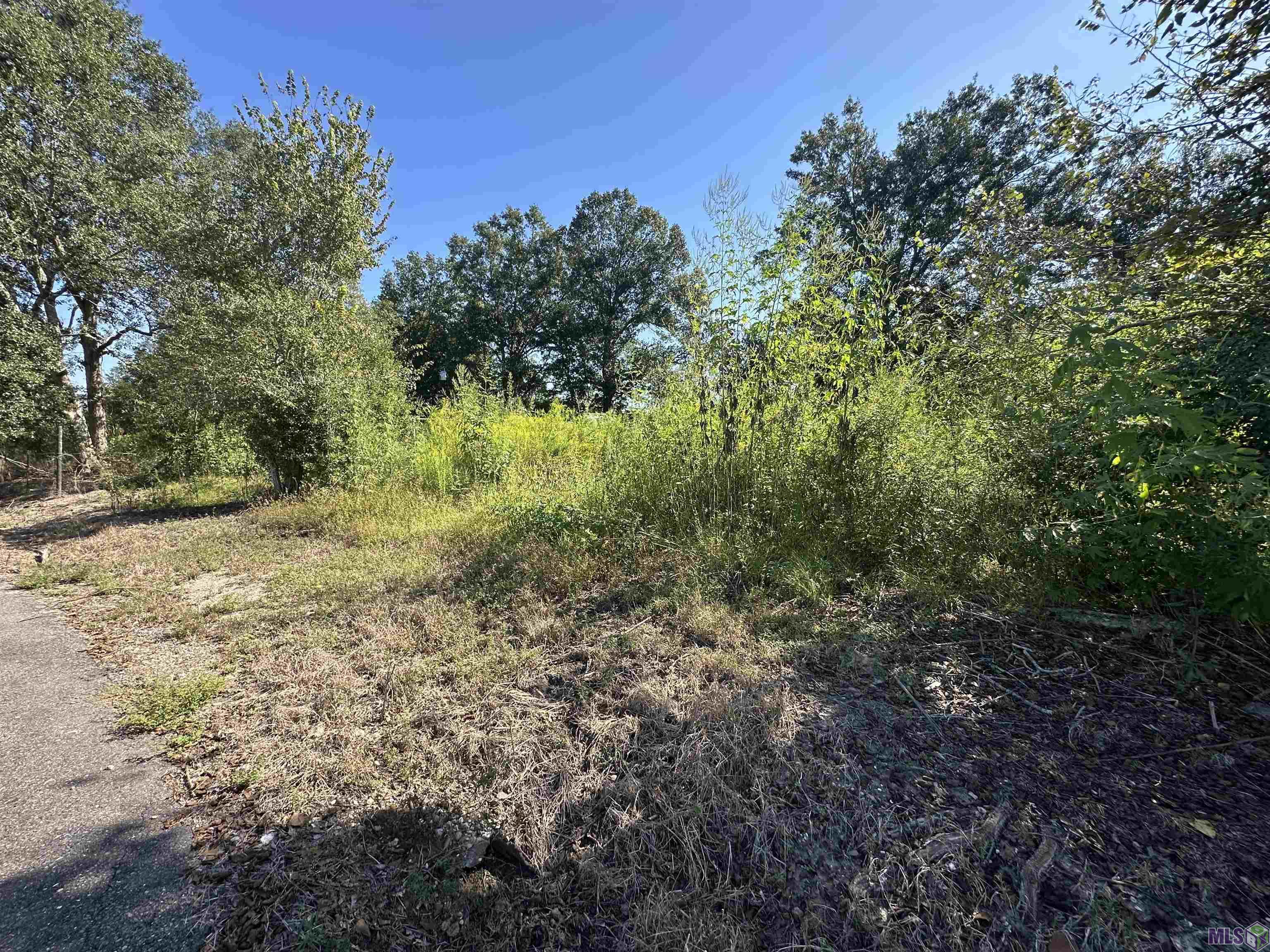 9434 Rod Anderson Road St. Amant, LA 70774 - Photo 8 of 18