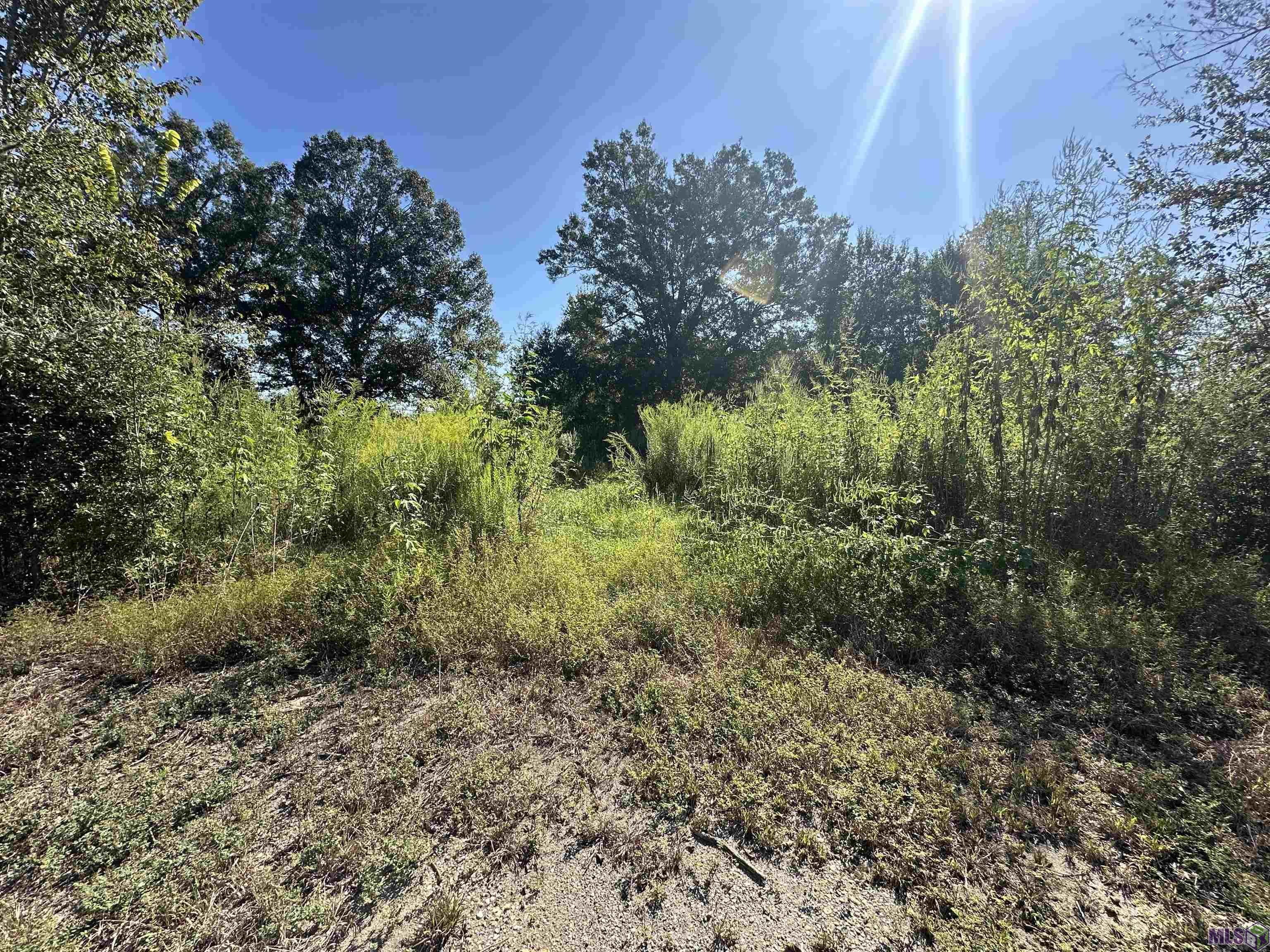 9434 Rod Anderson Road St. Amant, LA 70774 - Photo 10 of 18