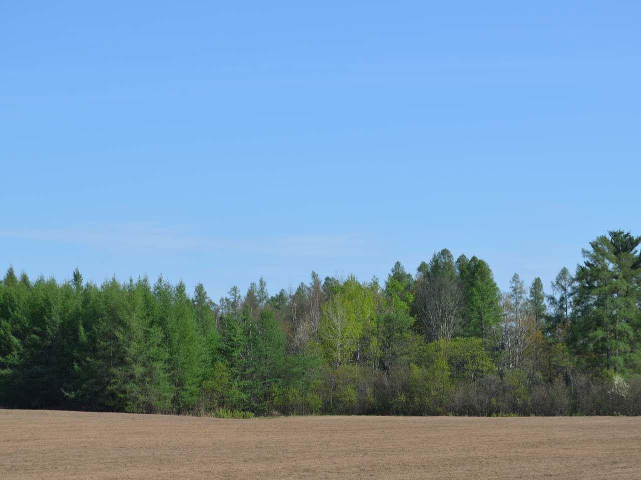 On Kaphaem Road Tomahawk, WI 54487 - Photo 12 of 20 Gallery Image 12