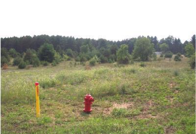 8775 7 Mile Road Evart, MI 49631 - Photo 2 of 8 Additional Photo