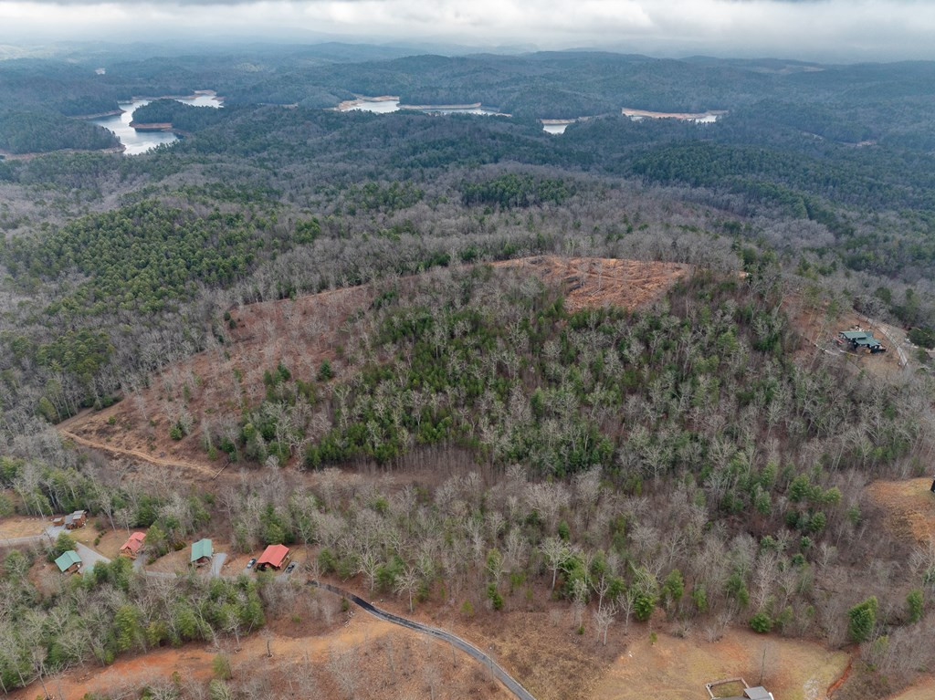 Lot 63 Lake Wood Road Murphy, NC 28906 - Photo 16 of 28